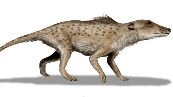 Pakicetus